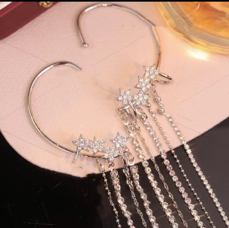 Women's Elegant Tassel Micro-set Zircon Earrings