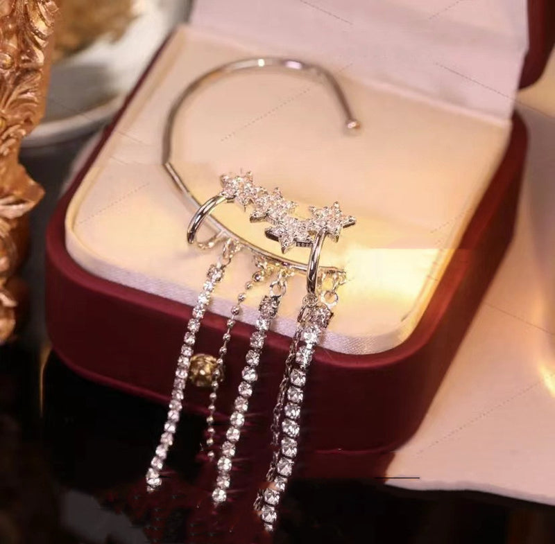 Women's Elegant Tassel Micro-set Zircon Earrings